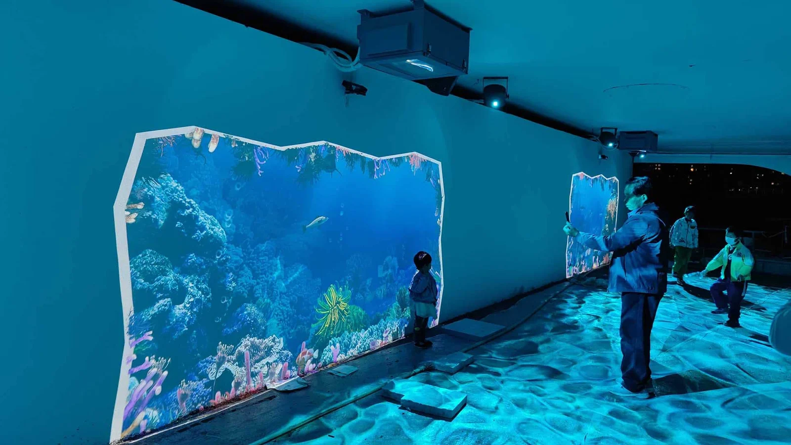 Remote-Control Ceiling Mount Projector Enclosure