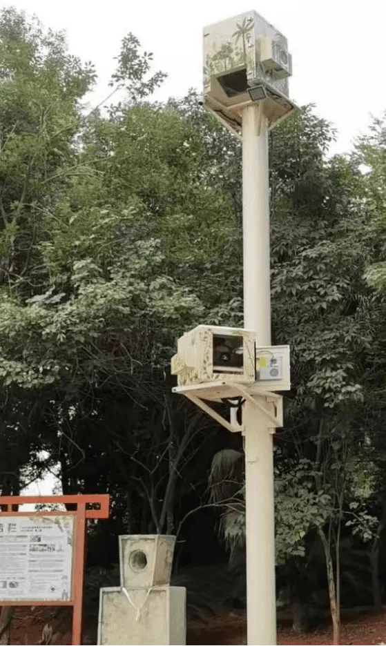 Outdoor project installation photo showing projector enclosure maintenance